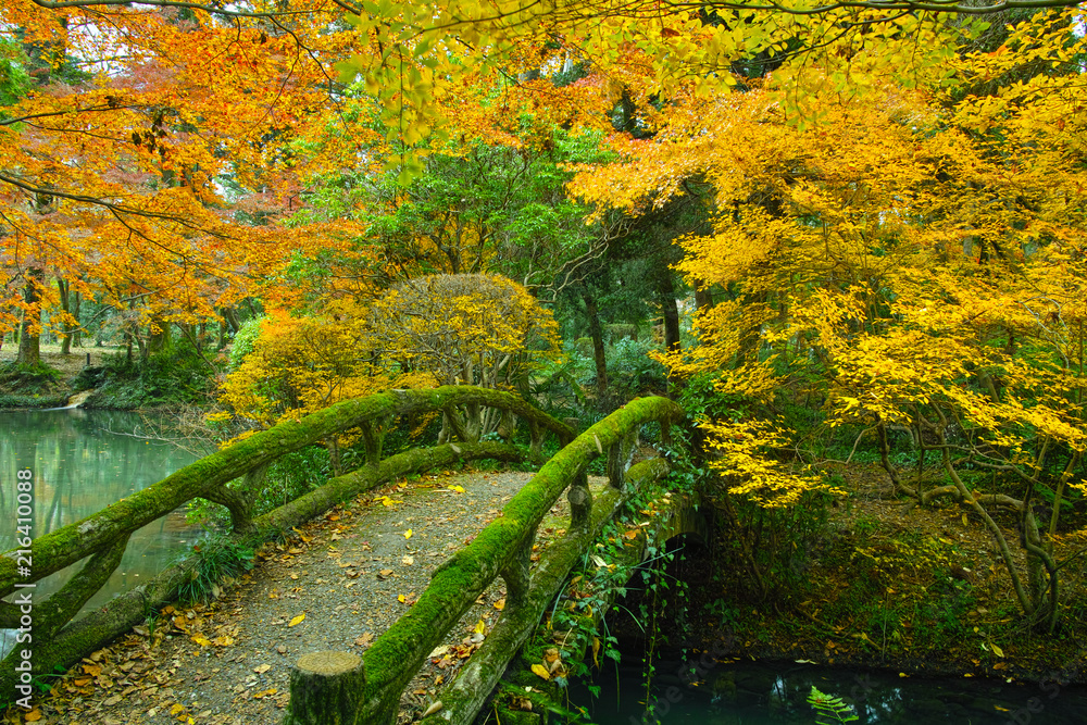 紅葉の森と苔の生えた石橋
