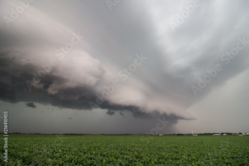 Looking along the leading edge of a severe thunderstorm with a menacing shelf cloud over a soybean field in the midwest.