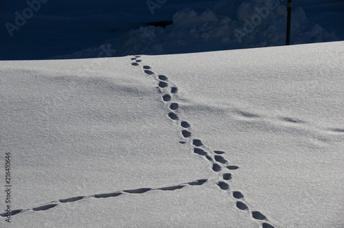 Zwei Fußspuren die sich treffen und gemeinsam im Nichts enden