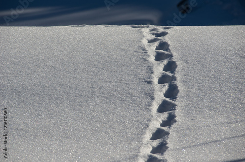 Fußspur im Schnee  die sich im Nichts verliert