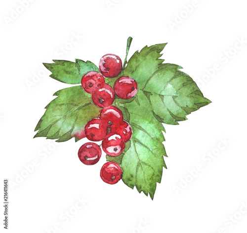 red currant with leaf