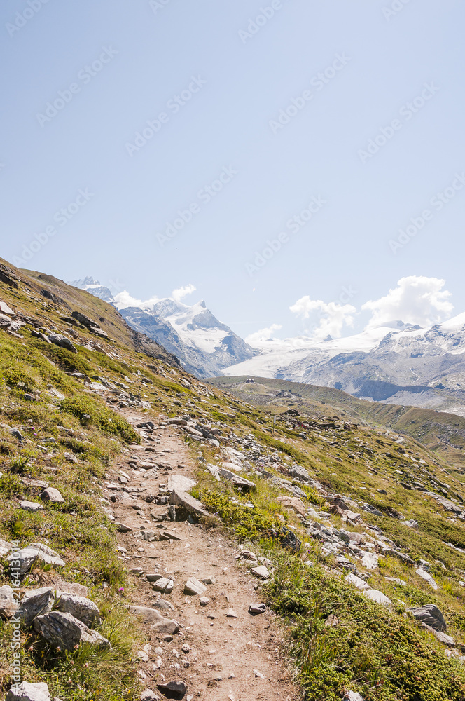 Fototapeta premium Zermatt, Adlerhorn, Findelgletscher, Strahlhorn, Gletscher, Wanderweg, Blauherd, Stellisee, Bergsee, Fluhalp, Wallis, Walliser Berge, Alpen, Sommer, Schweiz