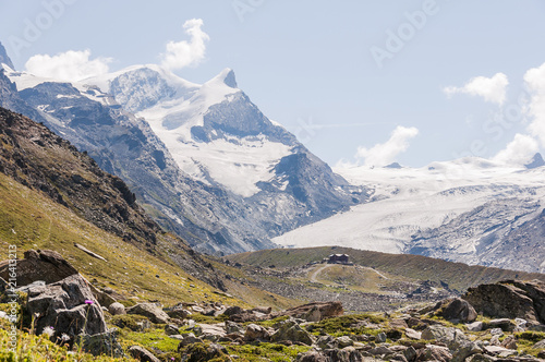 Zermatt  Fluhalp  Findelgletscher  Gletscher  Adlerhorn  Stahlhorn  Wanderweg  Blauherd  Stellisee  Wallis  Alpen  Walliser Berge  Sommer  Schweiz