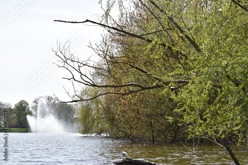 Blick auf Knierteich in Stralsund m Frühling photo