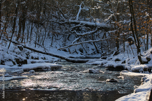 Der Fluß Prießnitz bei Dresden im Winter
