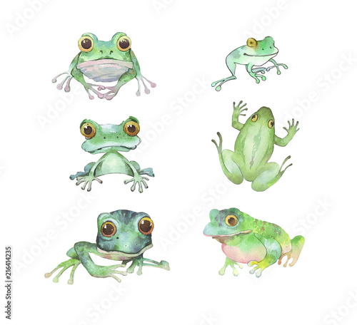 set of watercolor frogs