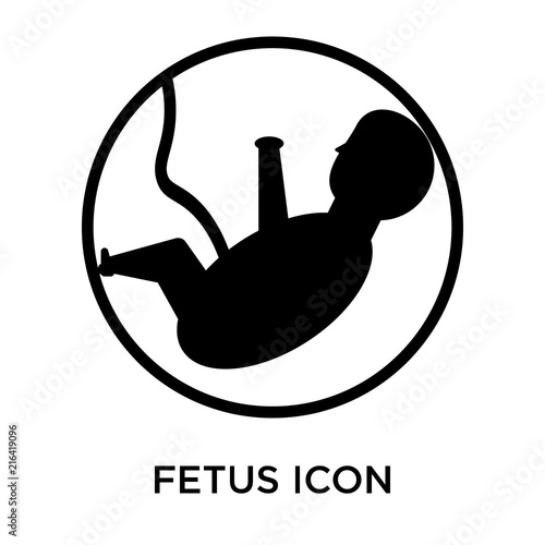 fetus icon on white background. Modern icons vector illustration. Trendy fetus icons