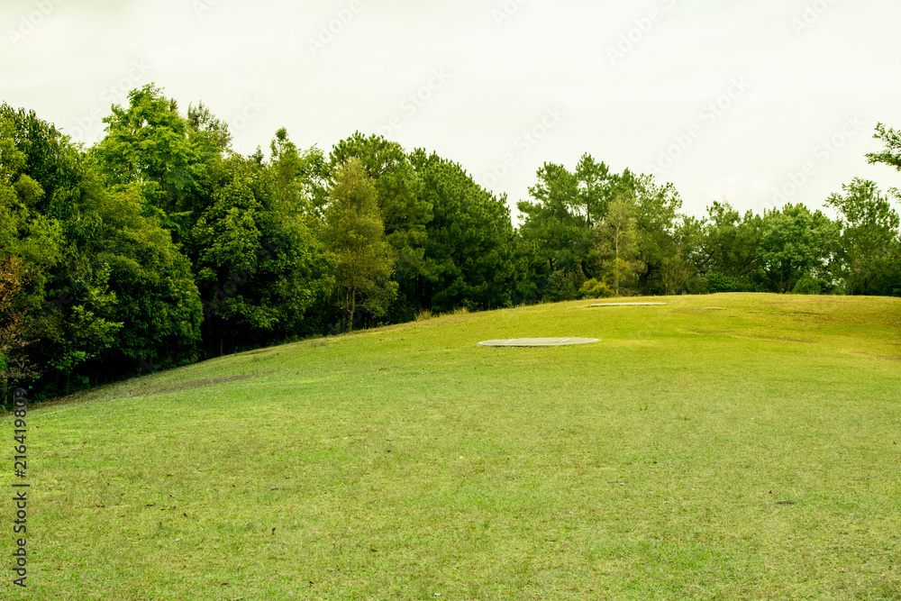 Beautiful green meadows and trees around. Beautiful green meadows and trees around.