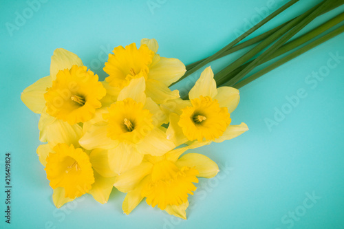 Fototapeta Naklejka Na Ścianę i Meble -  yellow daffodil flowers