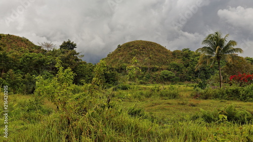 The Chocolate Hills of Bohol island. Central Visayas-Philippines. 0614
