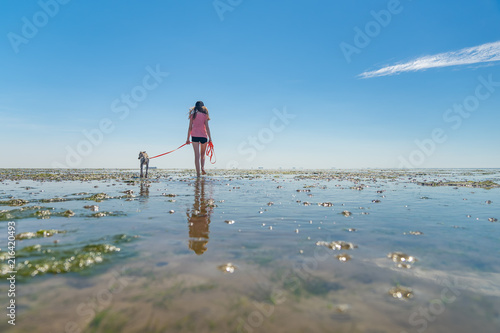  Erlebnis Wattwanderung im Wattenmeer der Nordsee, bei Dagebüll photo