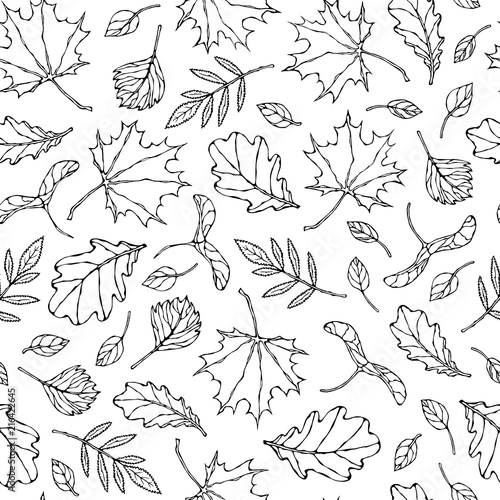 Seamless Endless Pattern of Autumn Leaves. Maple Rowan, Oak, Hawthorn, Birch. Red, Orange and Yellow. Realistic Hand Drawn High Quality Vector Illustration. Doodle Style. photo