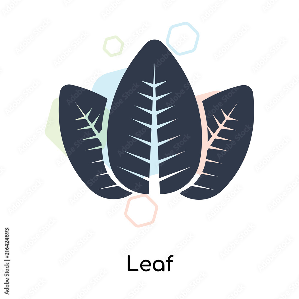 Leaf icon vector sign and symbol isolated on white background, Leaf logo concept Leaf icon vector sign and symbol isolated on white background, Leaf logo concept