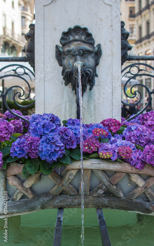 Swiss Fountains