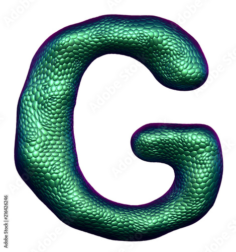 Letter G made of natural green snake skin texture isolated on white. photo