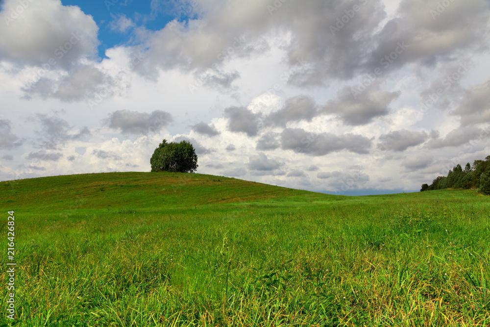 green hill on a field with a lonely tree under the clouds green hill on a field with a lonely tree under the clouds