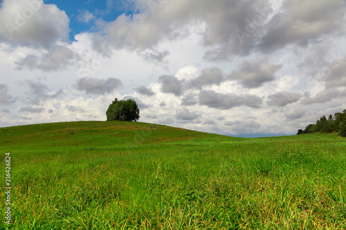 green hill on a field with a lonely tree under the clouds