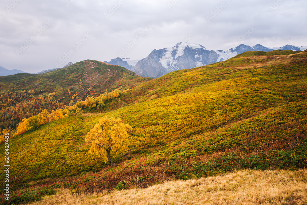 Obraz premium Autumn landscape in the mountains