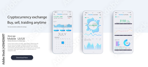 Mobile app infographic template with modern design weekly and annual statistics graphs. Pie charts, workflow, web design, UI elements. Vector EPS 10