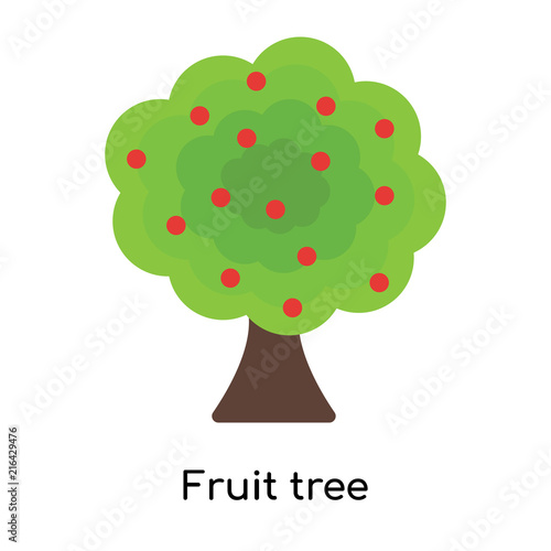 Fruit tree icon vector sign and symbol isolated on white background, Fruit tree logo concept