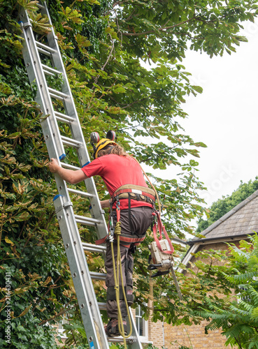 Tree Surgeon climbing a ladder