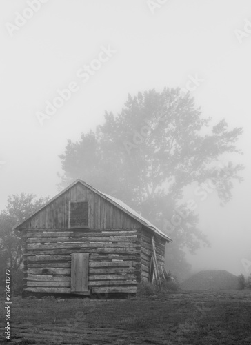 Old vintage sawn log cabin in the fog bw