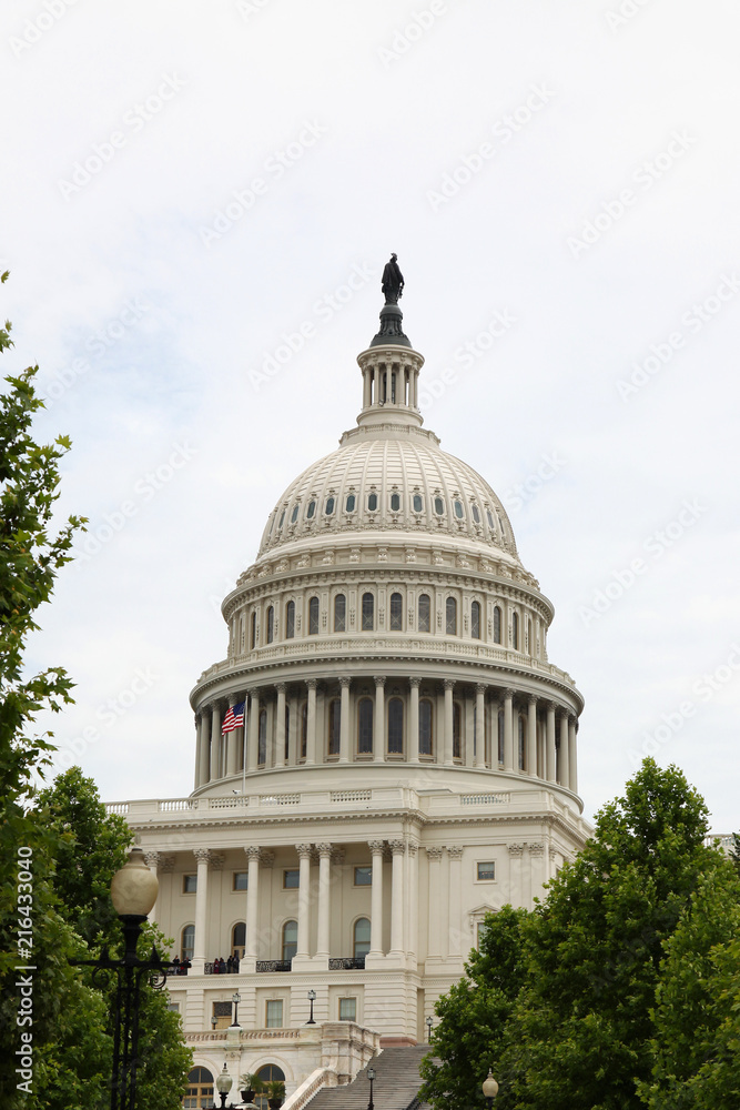 Obraz premium United States Capitol Building in Washington DC,USA.United States Congress
