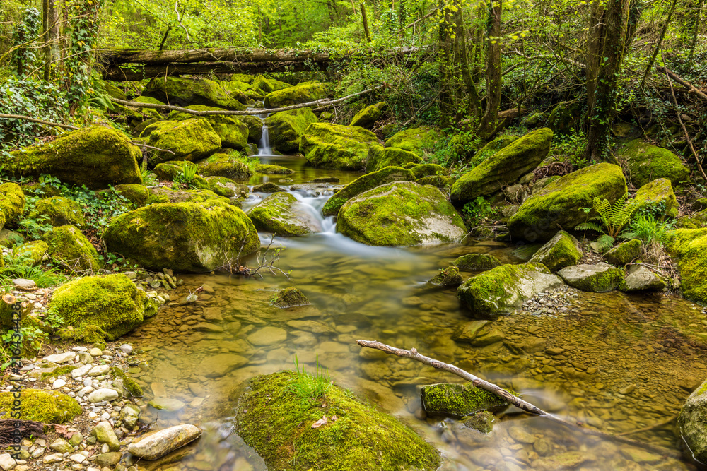 Beautiful creeks in the wild places (Garrotxa Province, Catalonia, Spain) Beautiful creeks in the wild places (Garrotxa Province, Catalonia, Spain)
