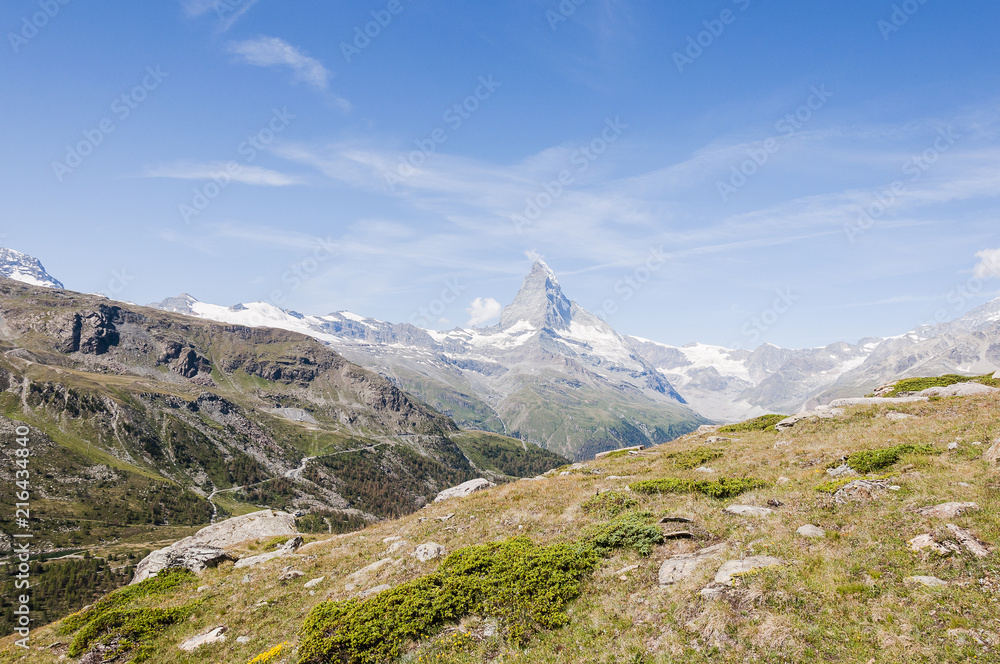 Zermatt, Matterhorn, Alpen, Wallis, Blauherd, Wanderweg, Sunnegga, Findeln, Sommer, Bergwiese, Alpenblumen, Schweizer Berge, Schweiz Zermatt, Matterhorn, Alpen, Wallis, Blauherd, Wanderweg, Sunnegga, Findeln, Sommer, Bergwiese, Alpenblumen, Schweizer Berge, Schweiz