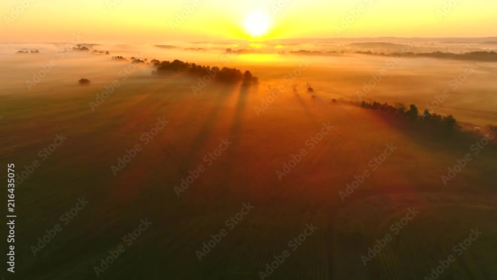 Ethereal fog shrouded rural landscape at sunrise with surreal beauty, aerial view.
