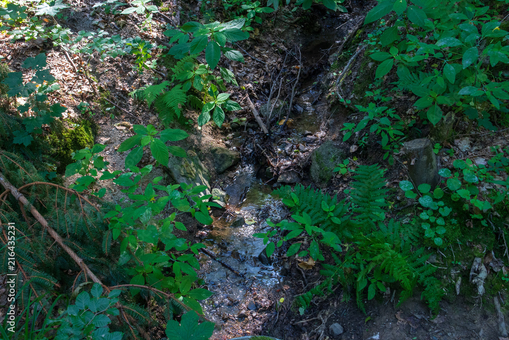 Fototapeta premium Rund um Tanplan vom 20.07.2018