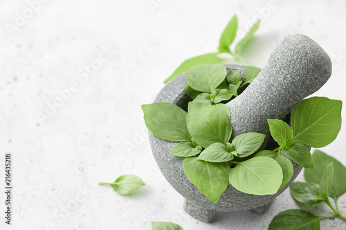 Fresh green basil leaves in gray stone mortar on white background. Pesto sauce cooking, close up view.