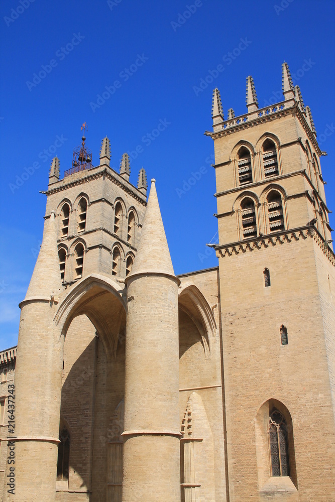 Fototapeta premium La magnifique