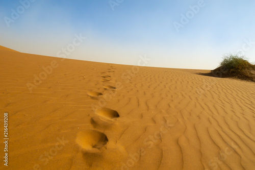 Footprints leading across Sossusvlei dunes at Dead Vlei
