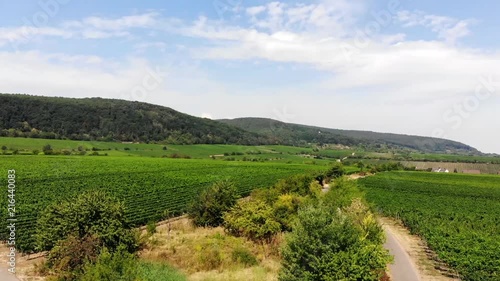 Flug über die Weinberge photo