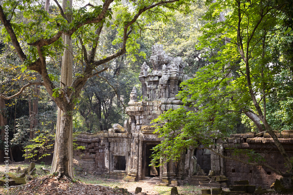Ancient ruins of Angkor Thom temple in Angkor Wat complex, Cambodia. Angkor Thom wall and gate in forest.