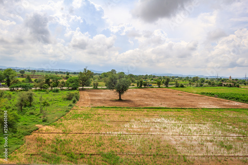 Quadro em tela A panorama of a field of summer days from a bird's-eye view