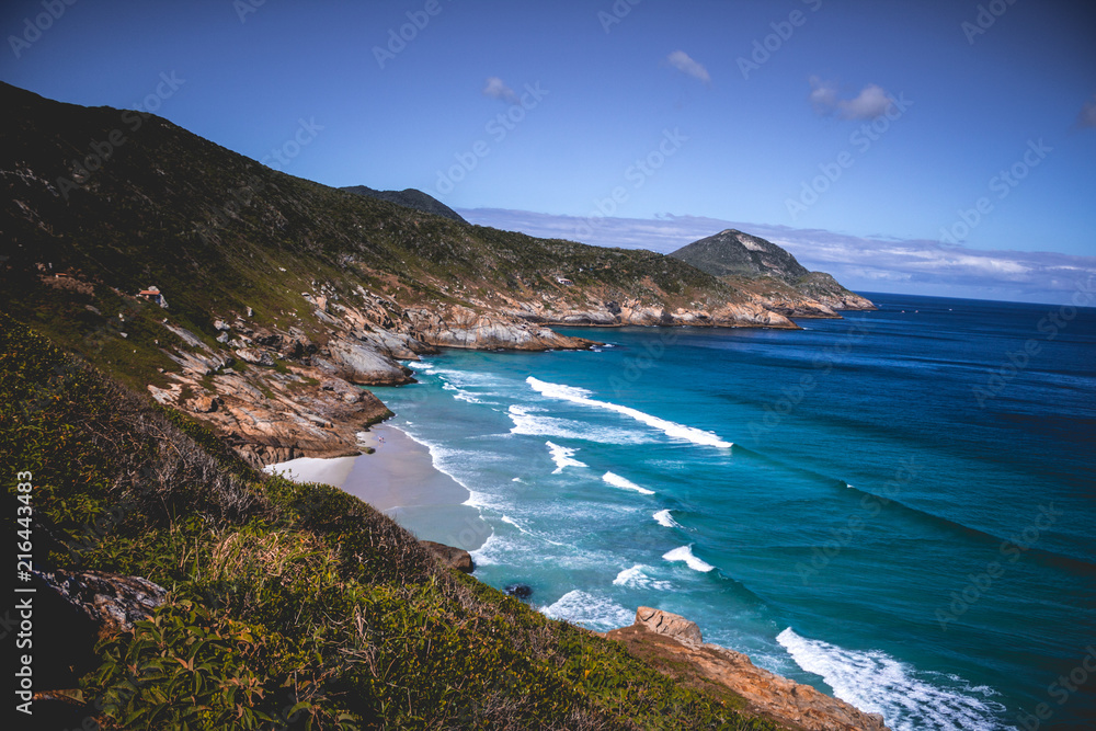 Fototapeta premium Brave Beach