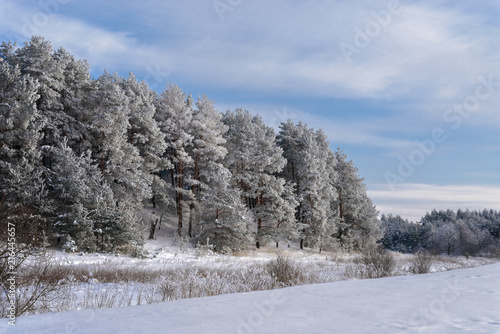 Winter landscape with snow covered trees © olmax1975