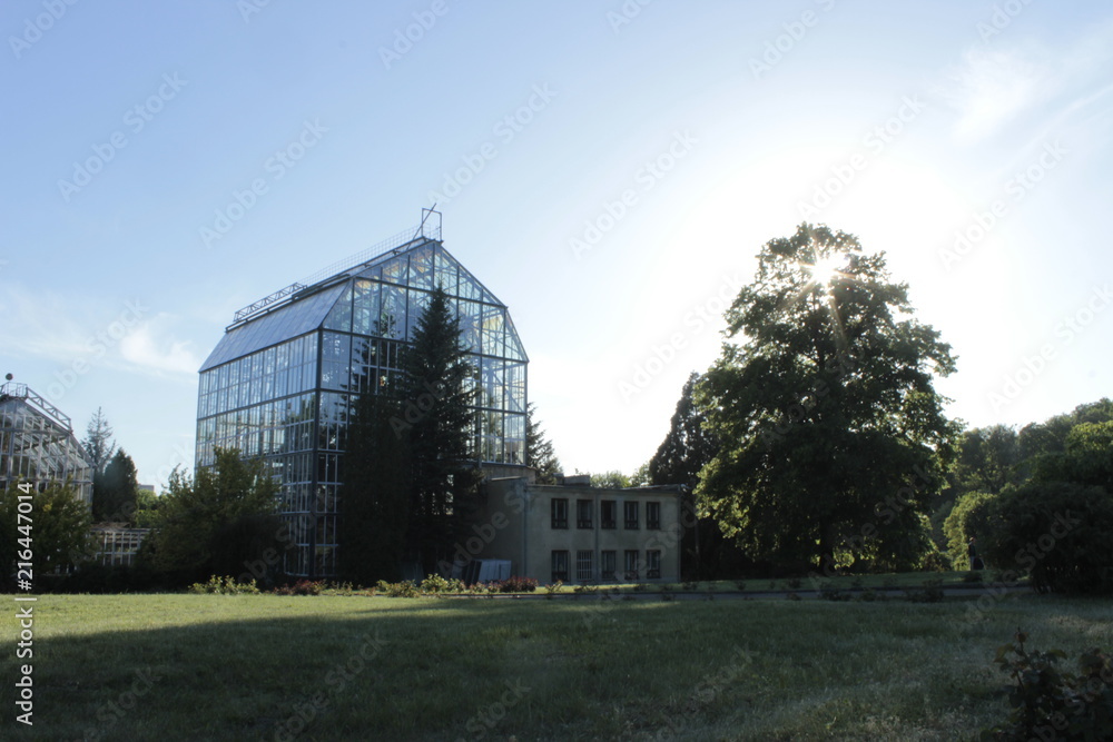 facade of the greenhouse in a botanical garden landscape with a tree facade of the greenhouse in a botanical garden landscape with a tree