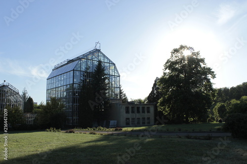 facade of the greenhouse in a botanical garden landscape with a tree