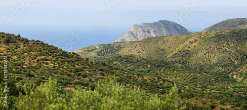 Panoramic landscape with mountains, olive plantations and the sea