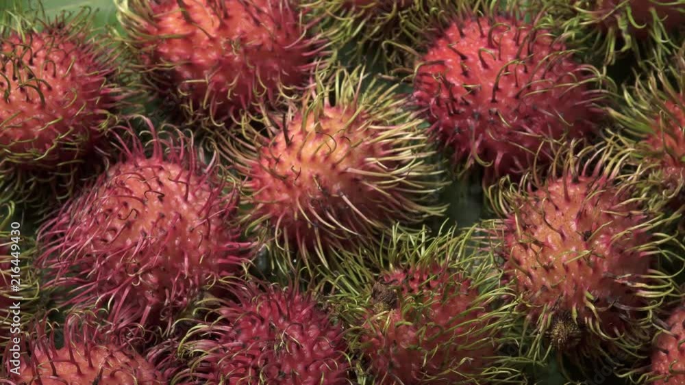 Group of Fresh Exotic Tropical Thai Fruit Rambutans (Nephelium lappaceum) Rotating on Banana Leaf Group of Fresh Exotic Tropical Thai Fruit Rambutans (Nephelium lappaceum) Rotating on Banana Leaf