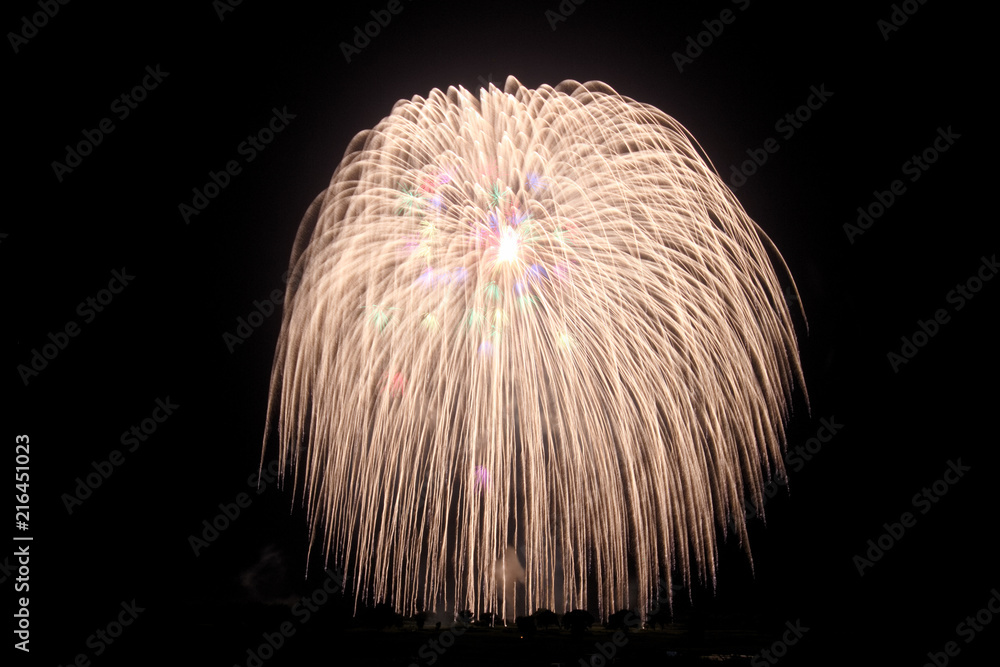 古河花火大会三尺玉stock Photo Adobe Stock