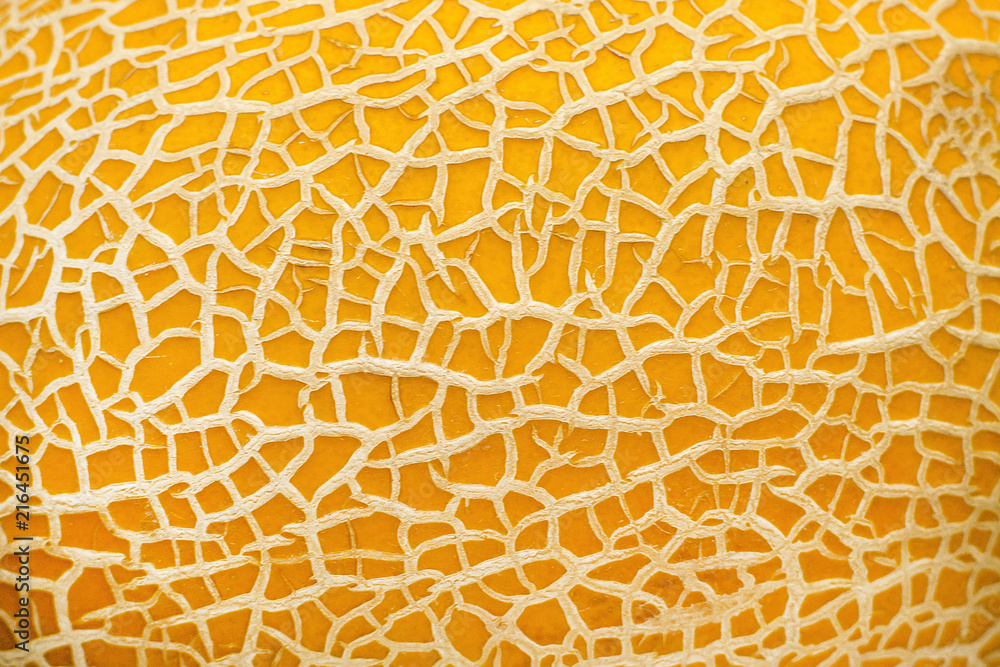 ripe yellow melon texture backdrop ripe yellow melon texture backdrop