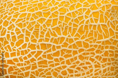 ripe yellow melon texture backdrop
