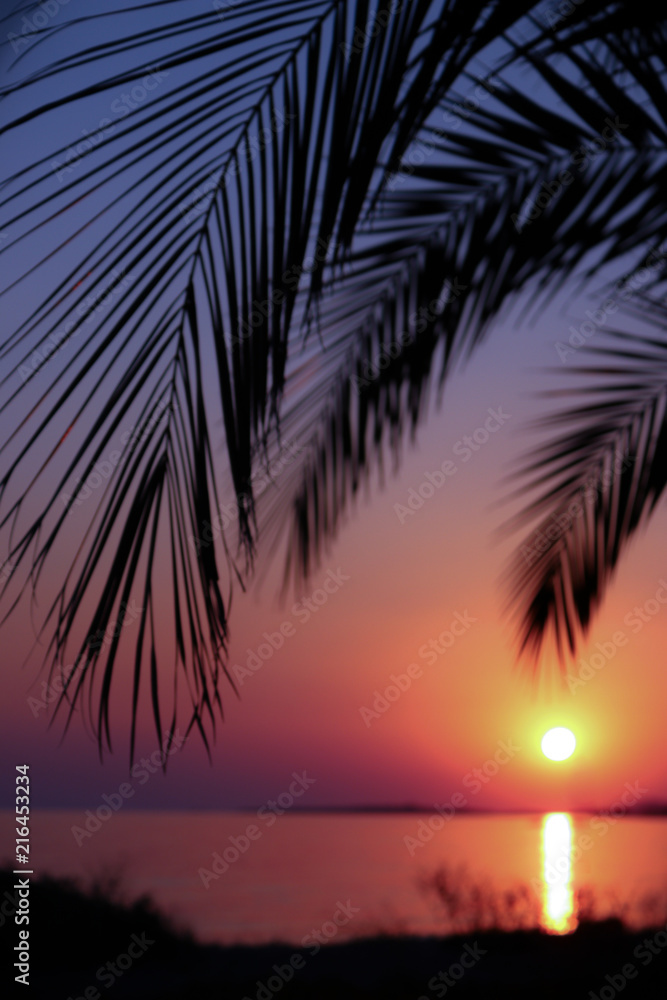 Tropical sunset