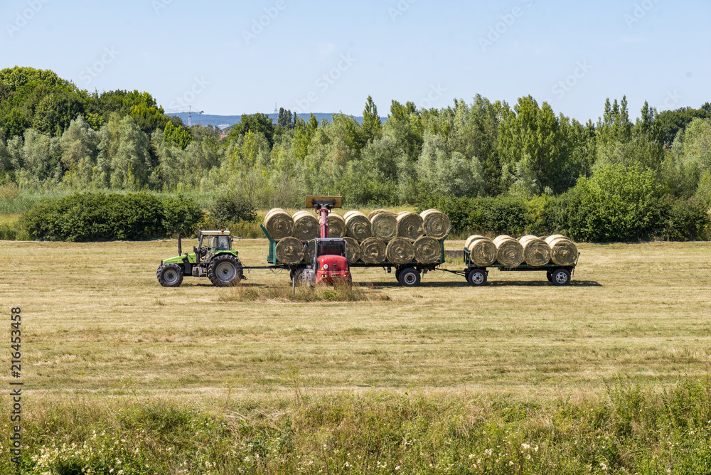 Fototapeta premium Heurundballen werden bei der Heuernte auf Anhänger verladen
