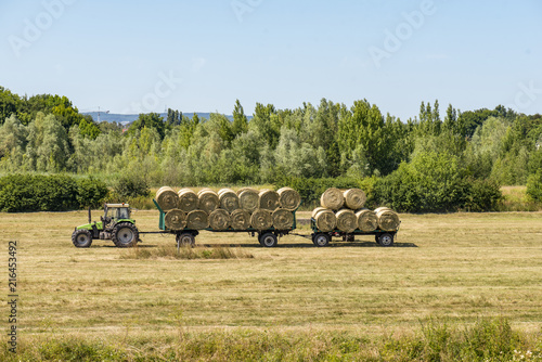 Heurundballen werden bei der Heuernte auf Anhänger verladen photo