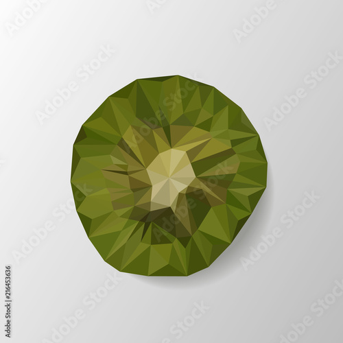 Vector illustration kiwi, polygonal kiwi, low poly